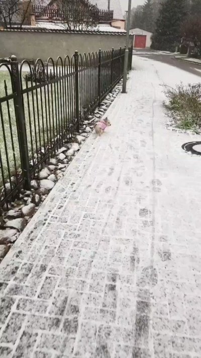 Watch Candy Samira's leaked NSFW video on TwXstars