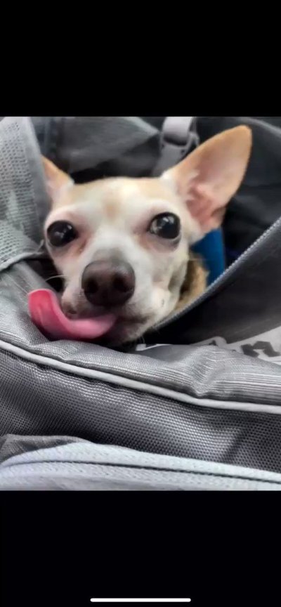 Watch Tara's leaked NSFW video on TwXstars