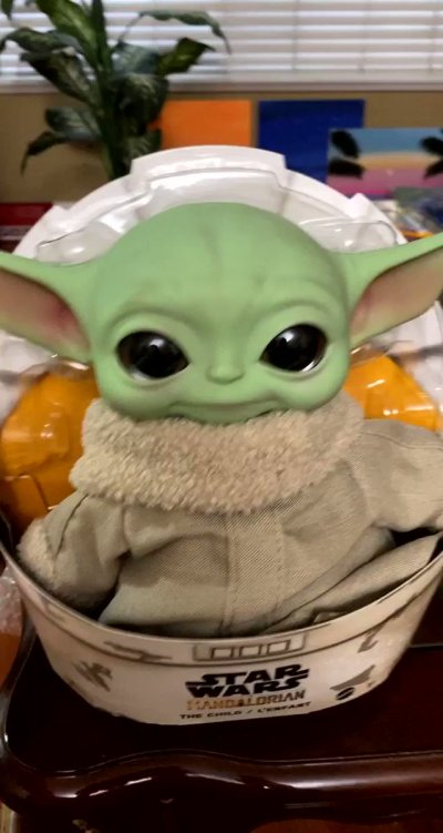 Watch Rakhi Gill🇨🇦🇺🇸🇮🇳's leaked NSFW video on TwXstars