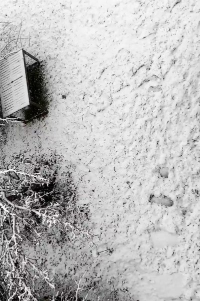 Watch Vex Ashley 🩸's leaked NSFW video on TwXstars