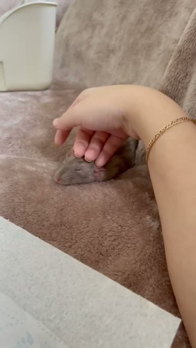 Watch Chloe's leaked NSFW video on TwXstars