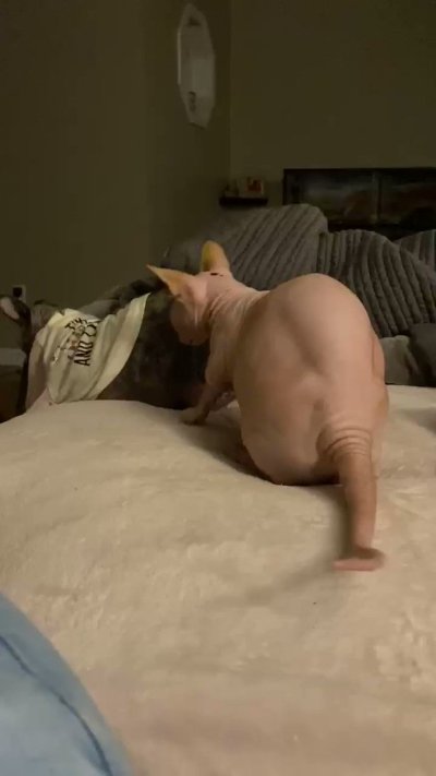 Watch Brianna Rose's leaked NSFW video on TwXstars