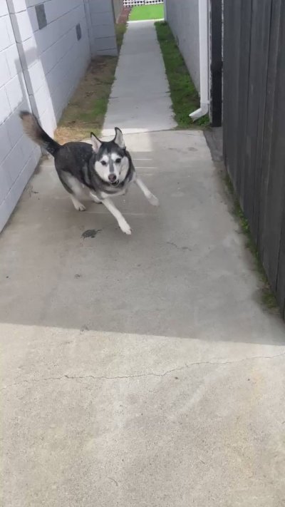 Watch Aila Donovan Inc.'s leaked NSFW video on TwXstars