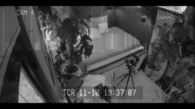 Watch 𝙇𝙀 𝙅𝘼𝙈𝙀𝙎's leaked NSFW video on TwXstars