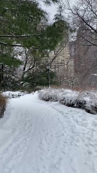 Watch Lisa Ann's leaked NSFW video on TwXstars