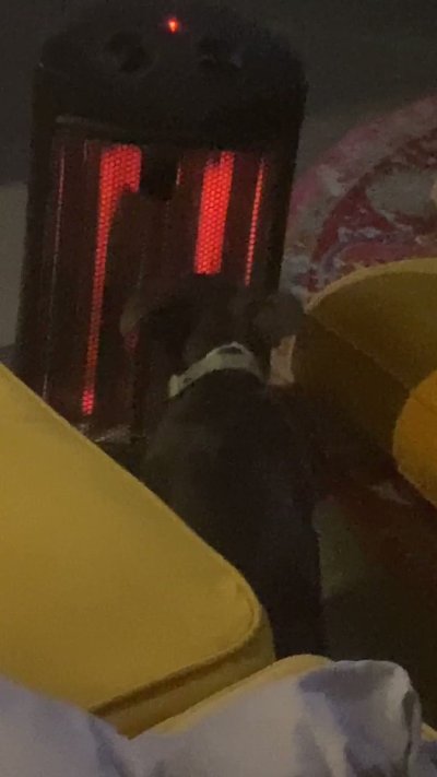 Watch ☿ 🅼🅰🆆🆄's leaked NSFW video on TwXstars