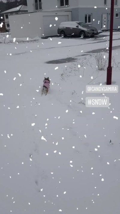 Watch Candy Samira's leaked NSFW video on TwXstars