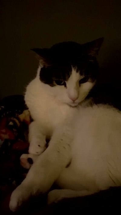 Watch awlivv's leaked NSFW video on TwXstars