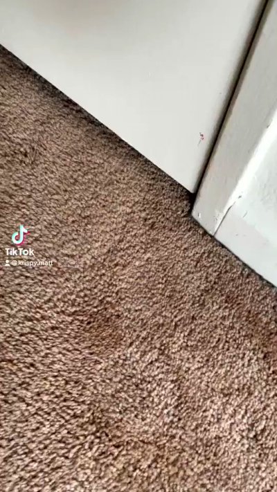 Watch Krispy's leaked NSFW video on TwXstars