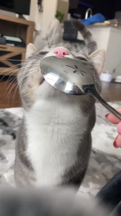 Watch Sarina Desiree's leaked NSFW video on TwXstars