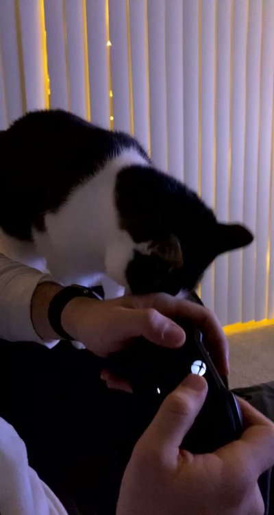 Watch awlivv's leaked NSFW video on TwXstars