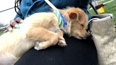 Watch Alisha's leaked NSFW video on TwXstars