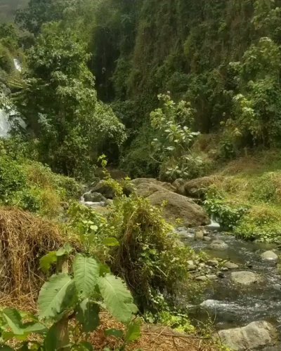 Watch AncientBwai 🇬🇭+🇯🇲's leaked NSFW video on TwXstars