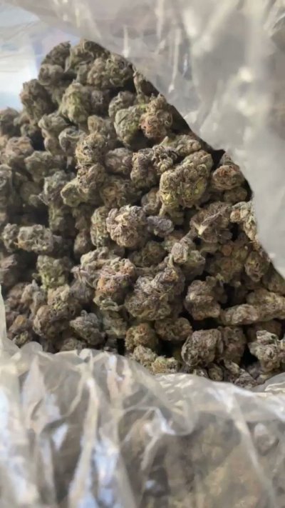 Watch New Balance's leaked NSFW video on TwXstars