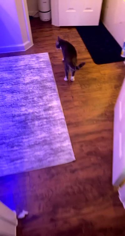 Watch Sarina Desiree's leaked NSFW video on TwXstars