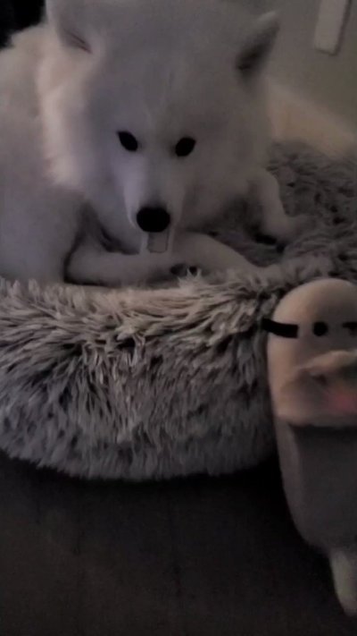 Watch Alinity's leaked NSFW video on TwXstars