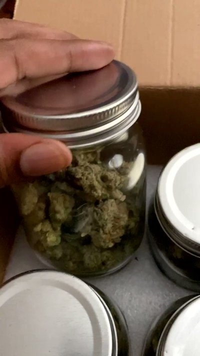 Watch New Balance's leaked NSFW video on TwXstars