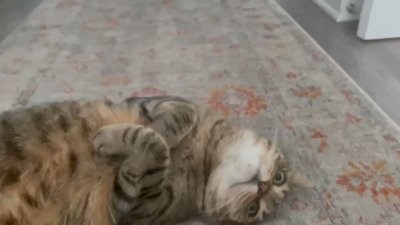 Watch RL RUNESCAPE GF's leaked NSFW video on TwXstars