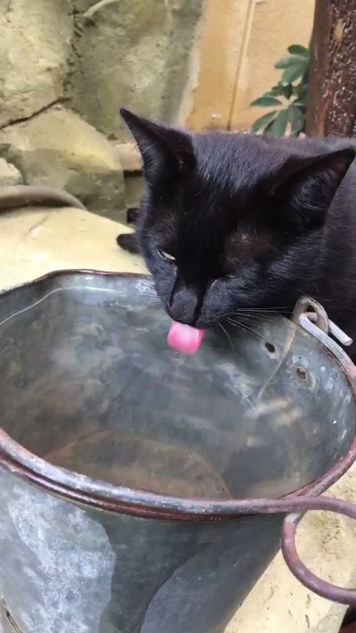 Watch Jose Guillén's leaked NSFW video on TwXstars