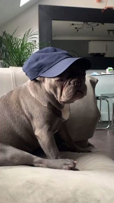 Watch BlackCat🐈‍⬛'s leaked NSFW video on TwXstars