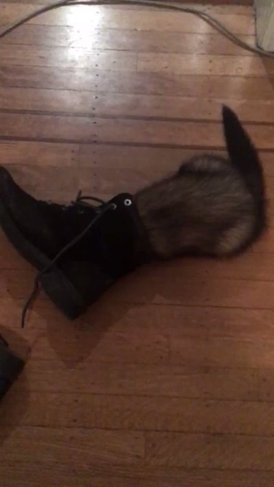 Watch Uʀsɪɴᴀᴇ VᴇsᴘᴇʀᴀL ʕ'ᴥ'ʔ's leaked NSFW video on TwXstars