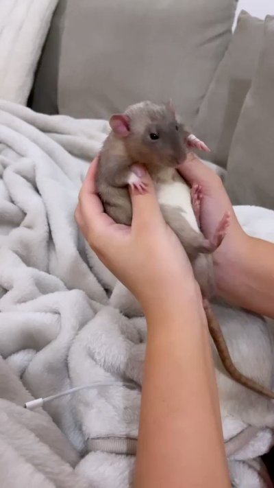 Watch Chloe's leaked NSFW video on TwXstars