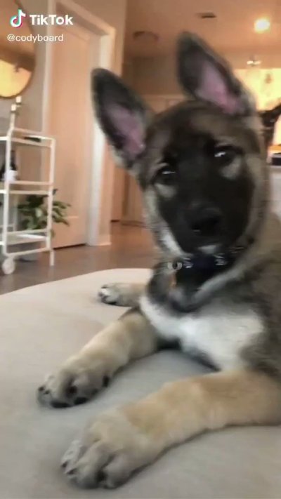 Watch Arun Thareja,'s leaked NSFW video on TwXstars