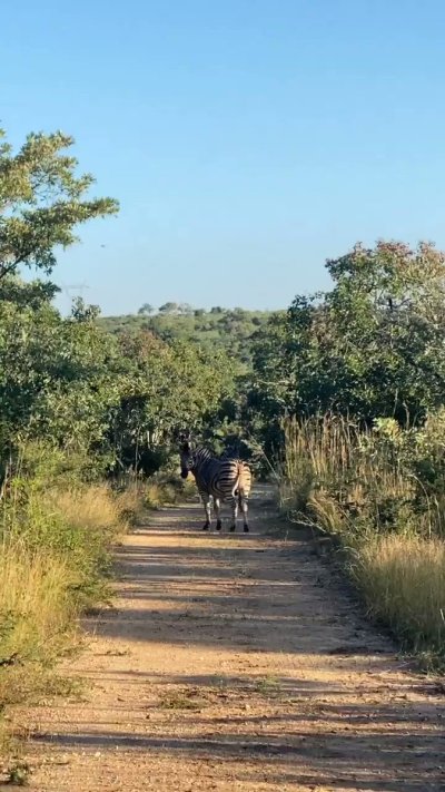 Watch Vic Mensa's leaked NSFW video on TwXstars
