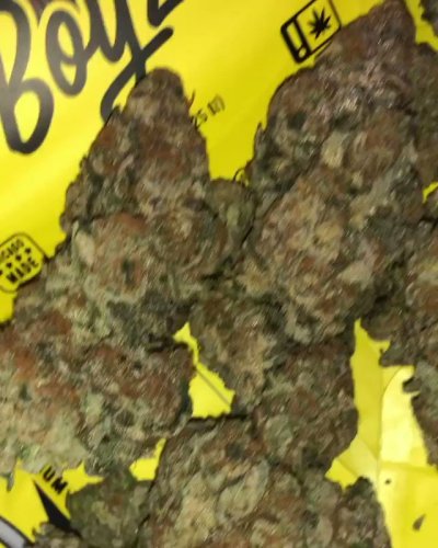 Watch Vic Mensa's leaked NSFW video on TwXstars