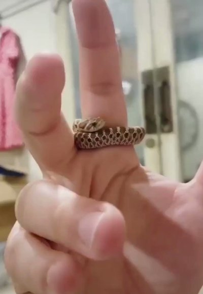 Watch Shiri Allwood's leaked NSFW video on TwXstars