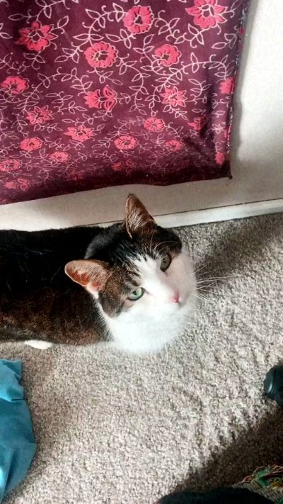 Watch awlivv's leaked NSFW video on TwXstars