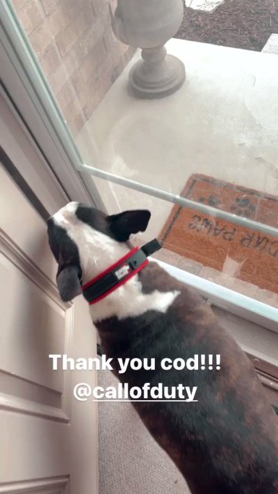 Watch TheDanDangler's leaked NSFW video on TwXstars