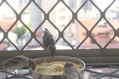 Watch CharlotteNiya's leaked NSFW video on TwXstars