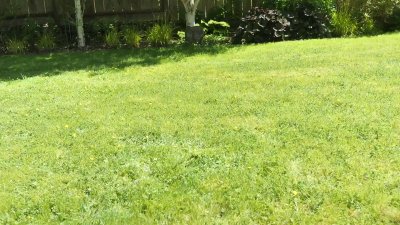 Watch sheepy 🏳️‍⚧️'s leaked NSFW video on TwXstars