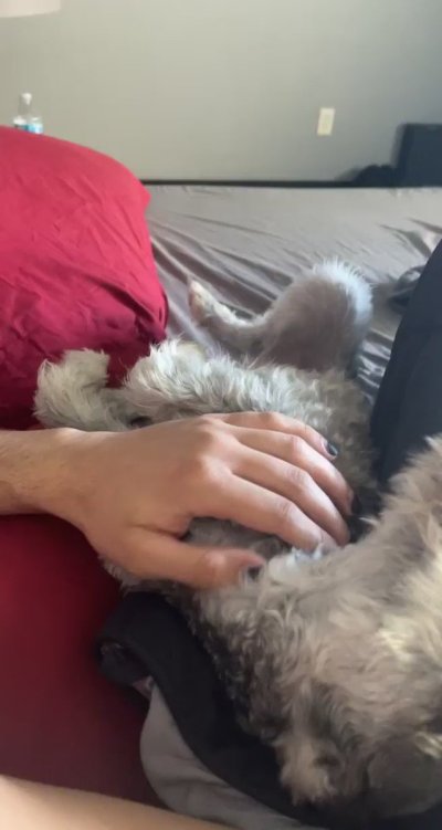 Watch Kane Fox 🦊's leaked NSFW video on TwXstars