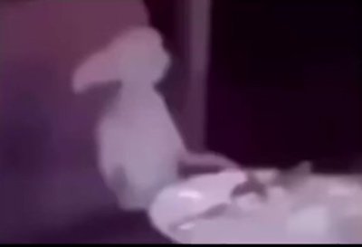 Watch ali's leaked NSFW video on TwXstars