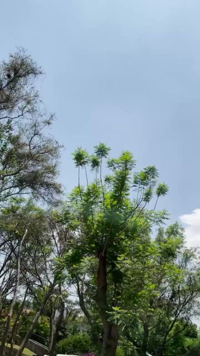 Watch yung north's leaked NSFW video on TwXstars