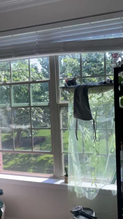 Watch Sarina Desiree's leaked NSFW video on TwXstars