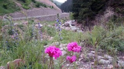 Watch Haber Tadında's leaked NSFW video on TwXstars