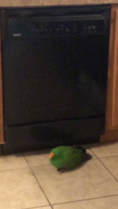 Watch Pittsburgh Domina Irene Boss's leaked NSFW video on TwXstars