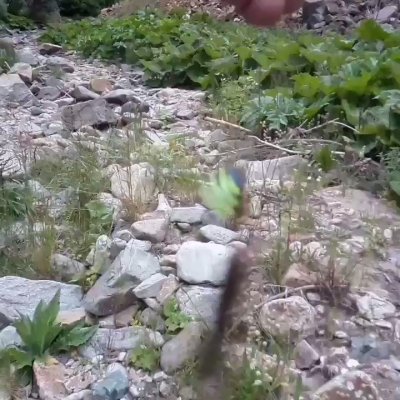 Watch Haber Tadında's leaked NSFW video on TwXstars