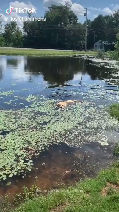 Watch StapledMyDickToABrick.'s leaked NSFW video on TwXstars