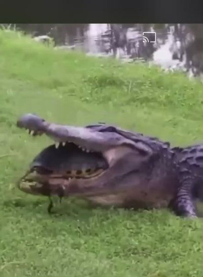 Watch Princess Tay 👑🌸's leaked NSFW video on TwXstars