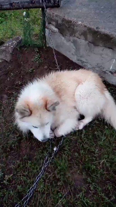 Watch Haber Tadında's leaked NSFW video on TwXstars