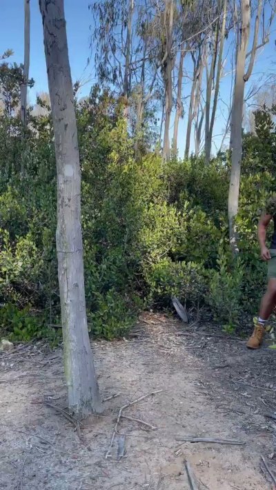 Watch Oliver Hunt's leaked NSFW video on TwXstars