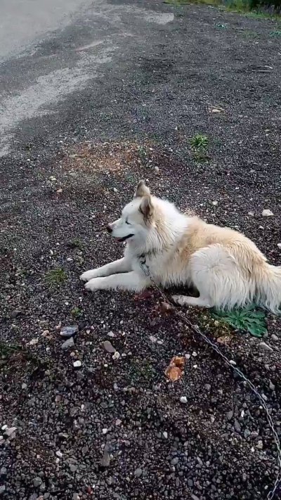 Watch Haber Tadında's leaked NSFW video on TwXstars