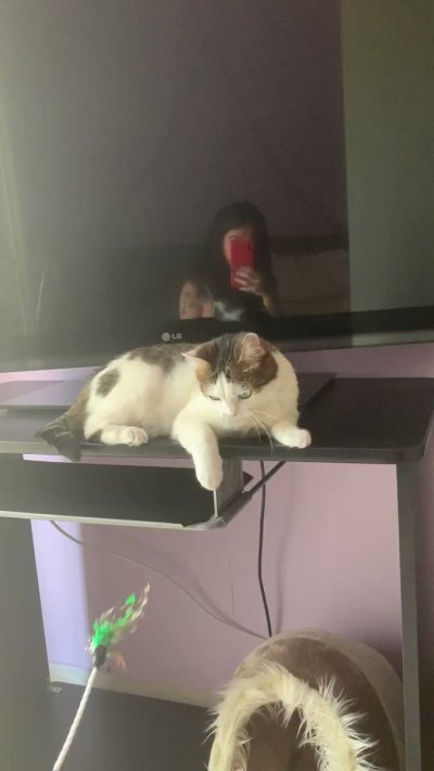 Watch Megan Inky 💜❤️❤️💜❤️💜's leaked NSFW video on TwXstars