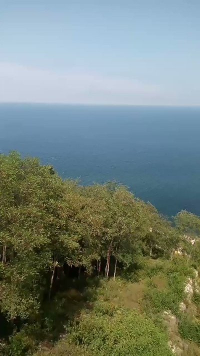 Watch Haber Tadında's leaked NSFW video on TwXstars