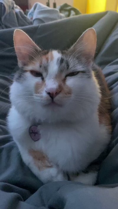 Watch Bruna Tivo🏳️‍⚧️'s leaked NSFW video on TwXstars