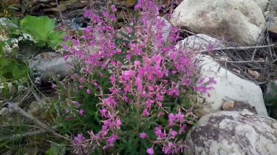 Watch Haber Tadında's leaked NSFW video on TwXstars